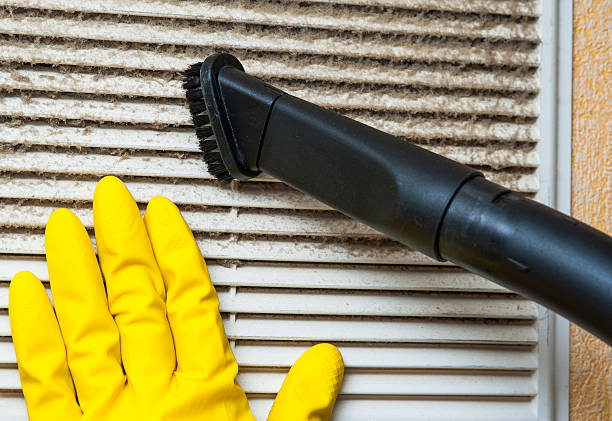 Best Affordable Duct Cleaning Services  in Sheldon, IA